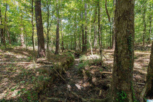 1385 COUNTY ROAD 467, Harpersville, AL 35178
