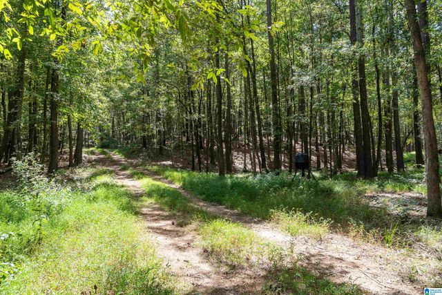 1385 COUNTY ROAD 467, Harpersville, AL 35178