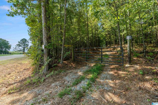 1385 COUNTY ROAD 467, Harpersville, AL 35178