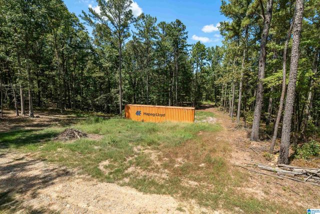 1385 COUNTY ROAD 467, Harpersville, AL 35178