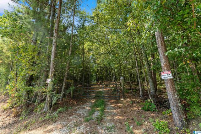 1385 COUNTY ROAD 467, Harpersville, AL 35178