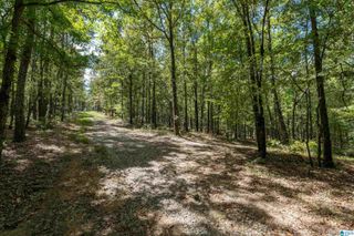 1385 COUNTY ROAD 467, Harpersville, AL 35178