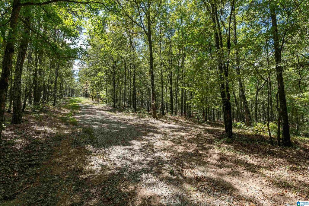 1385 COUNTY ROAD 467, Harpersville, AL 35178