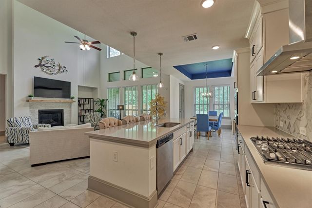 111 Dorado Sky Court, Conroe, TX 77318