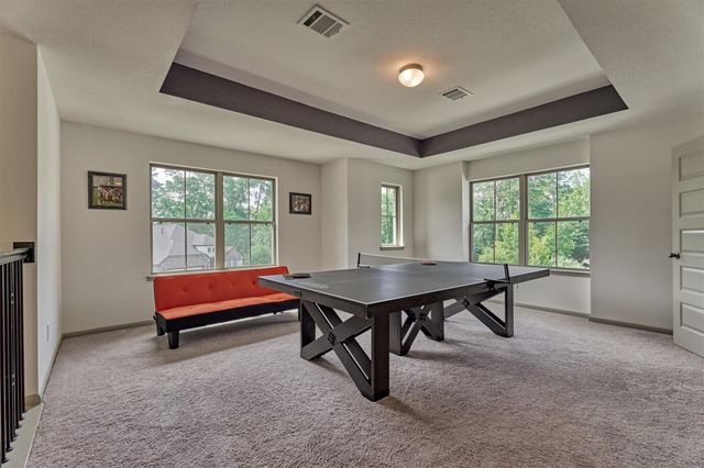 111 Dorado Sky Court, Conroe, TX 77318