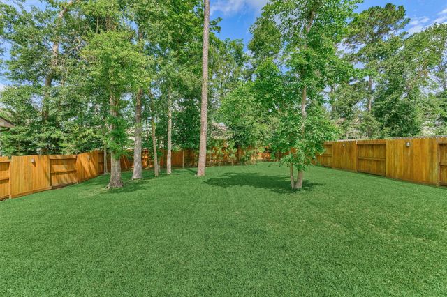111 Dorado Sky Court, Conroe, TX 77318