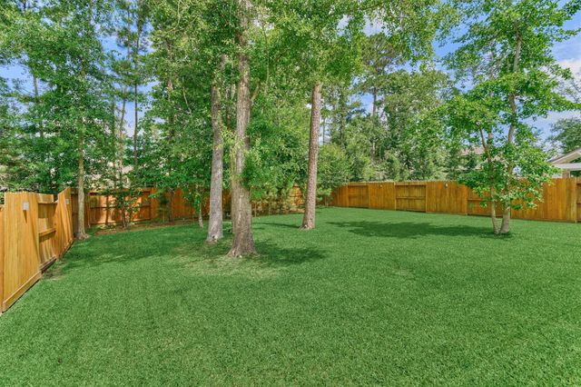 111 Dorado Sky Court, Conroe, TX 77318