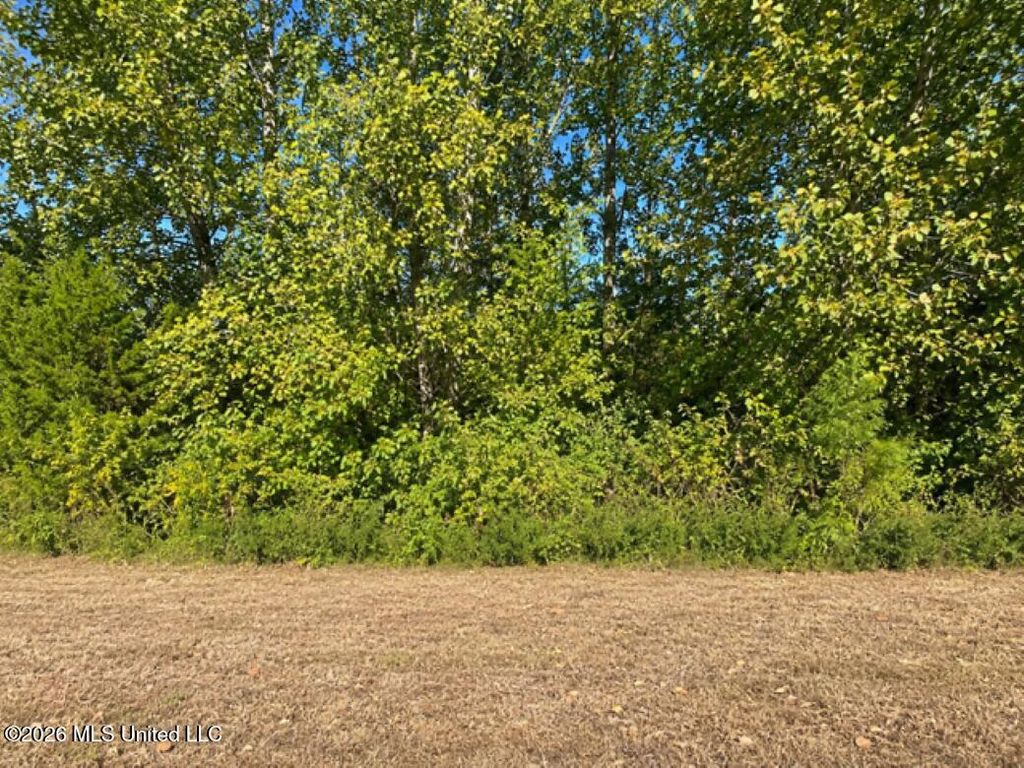 0 Victoria Road, Byhalia, MS 38611 — photo 2