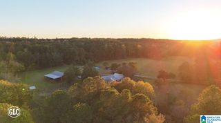 1965 CAMP BROWNIE ROAD, Childersburg, AL 35044