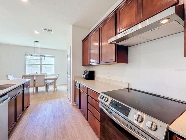 11415 GREEN HARVEST DRIVE, Riverview, FL 33578