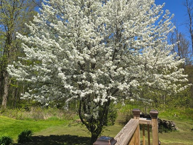 236 Baker Street, Alburgh, VT 05440