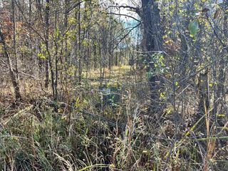 1035 Beaver Avenue, Nekoosa, WI 54457