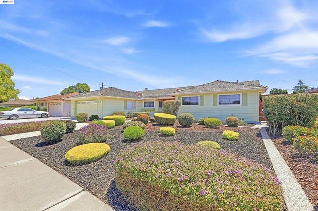 5346 Brophy Dr, Fremont, CA 94536