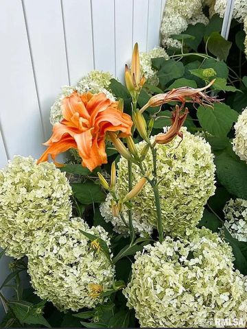 44 Marberry Drive, Metropolis, IL 62960