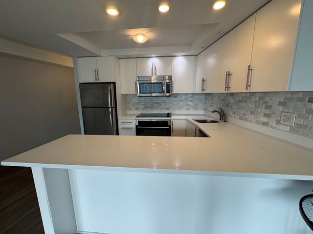 300 N STATE Street 4725, Chicago, IL 60654