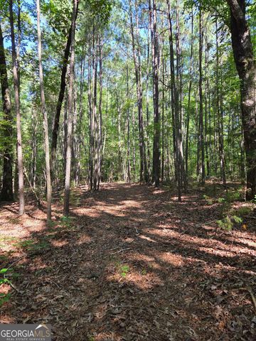 0 Millen Road, Monticello, GA 31064
