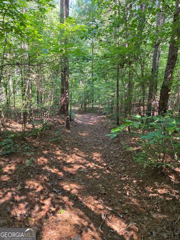 0 Millen Road, Monticello, GA 31064