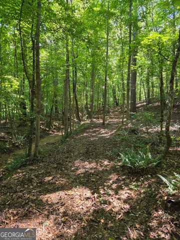 0 Millen Road, Monticello, GA 31064