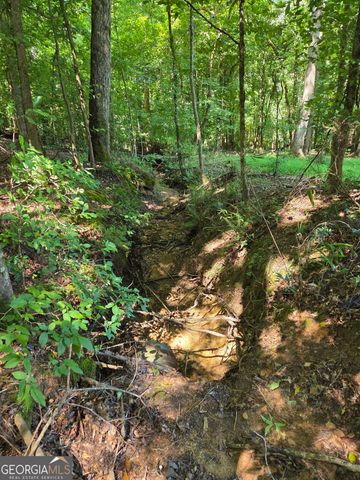 0 Millen Road, Monticello, GA 31064