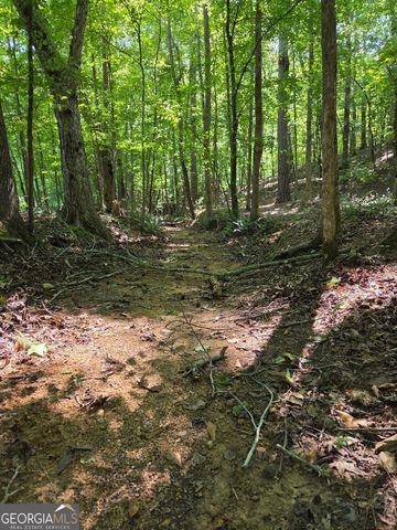 0 Millen Road, Monticello, GA 31064