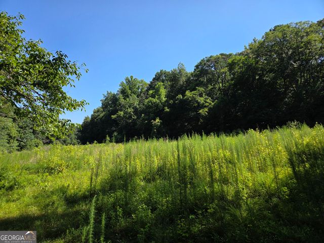 0 Millen Road, Monticello, GA 31064