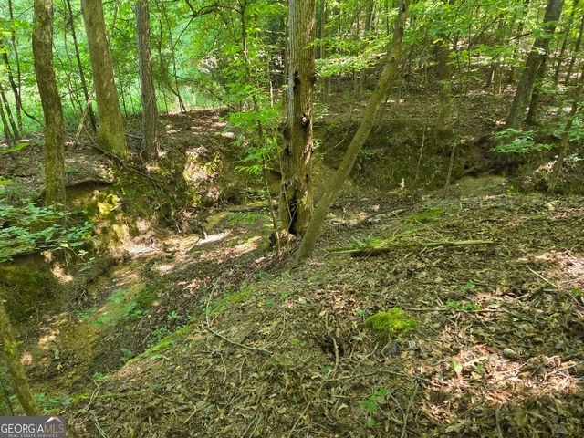 0 Millen Road, Monticello, GA 31064