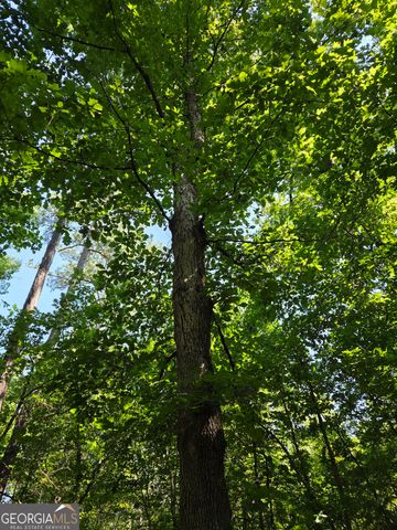 0 Millen Road, Monticello, GA 31064