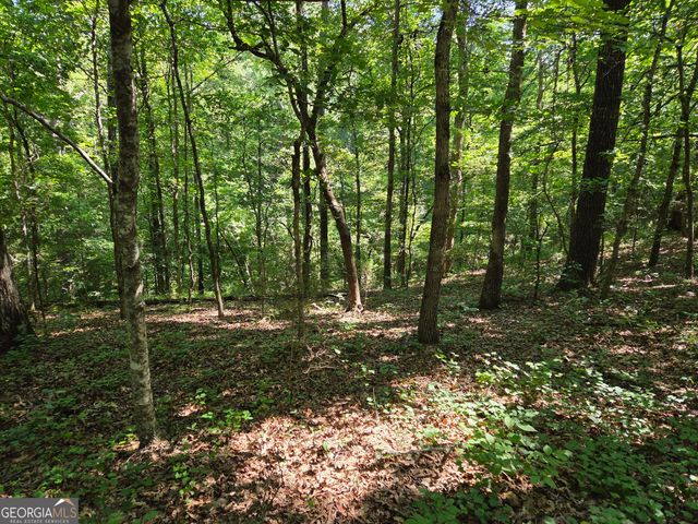 0 Millen Road, Monticello, GA 31064