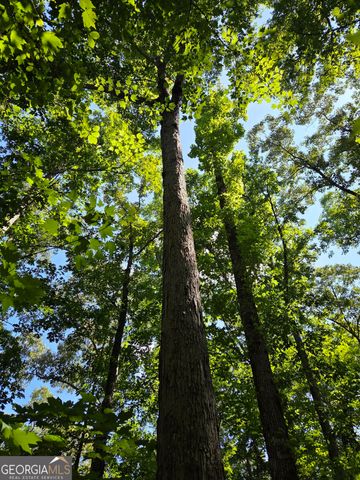 0 Millen Road, Monticello, GA 31064