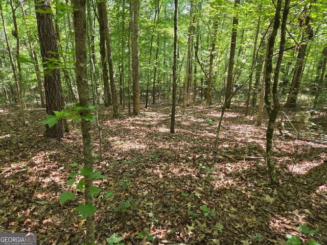 0 Millen Road, Monticello, GA 31064