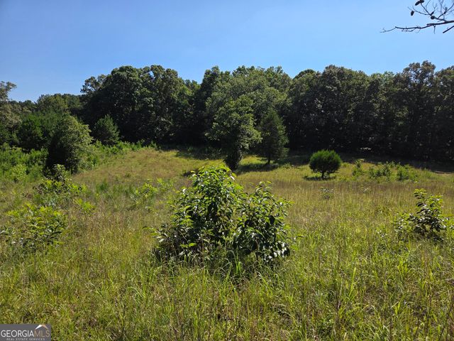 0 Millen Road, Monticello, GA 31064