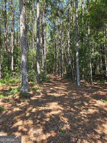 0 Millen Road, Monticello, GA 31064