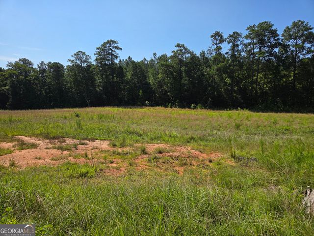 0 Millen Road, Monticello, GA 31064