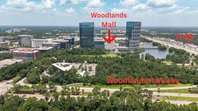 1 Rolling Mill Lane, The Woodlands, TX 77380