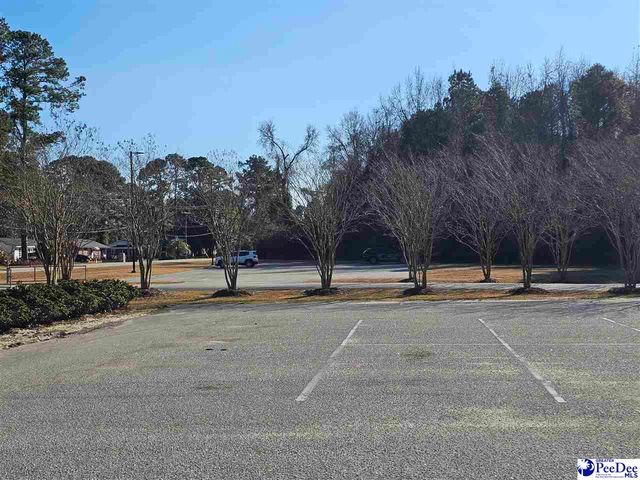 1109 W Haskell Dr, Florence, SC 29501