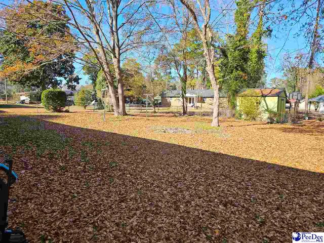 1109 W Haskell Dr, Florence, SC 29501