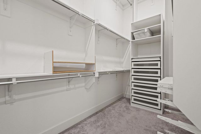 1506 Snowdrop Drive, Celina, TX 75078