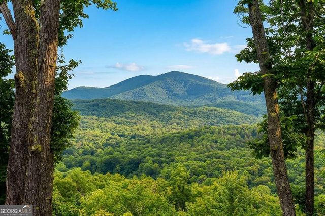731 Native Trail, Blue Ridge, GA 30513