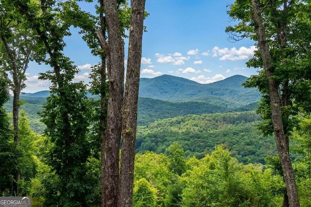 731 Native Trail, Blue Ridge, GA 30513