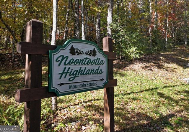 731 Native Trail, Blue Ridge, GA 30513