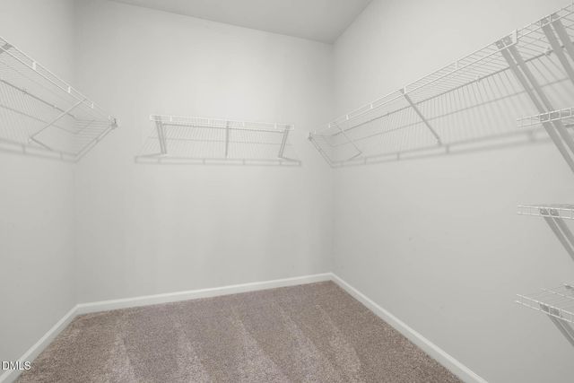 669 Fosterton Cottage Way, Raleigh, NC 27603