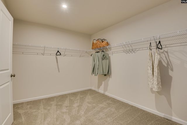 233 Wheat Farm Road, Columbia, SC 29209