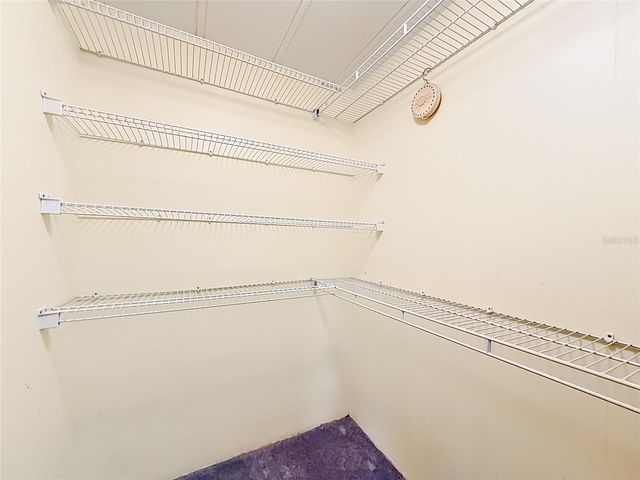 2002 SW LIVE OAK LANE, Zellwood, FL 32798