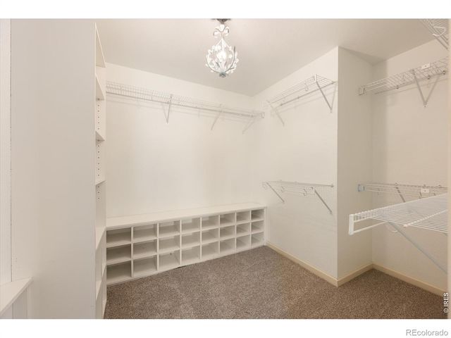 2029 Linden Lake Road, Fort Collins, CO 80524