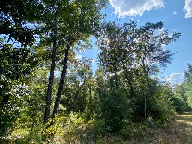 40 acres Swan Lane, Campbellton, FL 32426