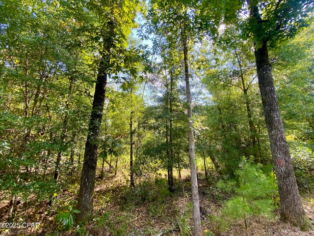 40 acres Swan Lane, Campbellton, FL 32426