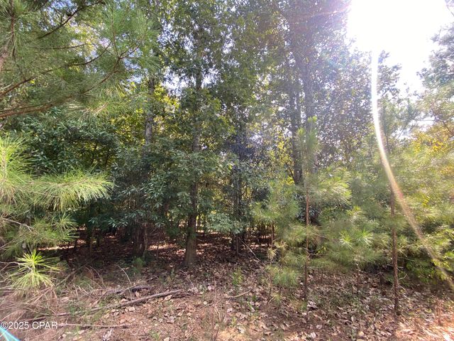 40 acres Swan Lane, Campbellton, FL 32426