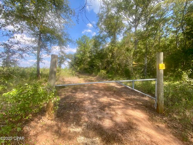 40 acres Swan Lane, Campbellton, FL 32426