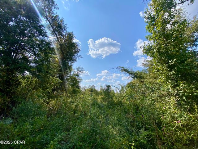 40 acres Swan Lane, Campbellton, FL 32426