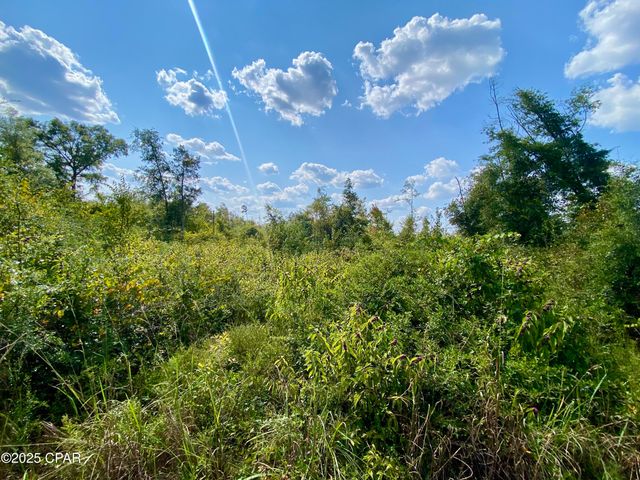 40 acres Swan Lane, Campbellton, FL 32426